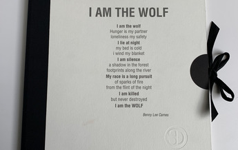 Copertina testo inglese