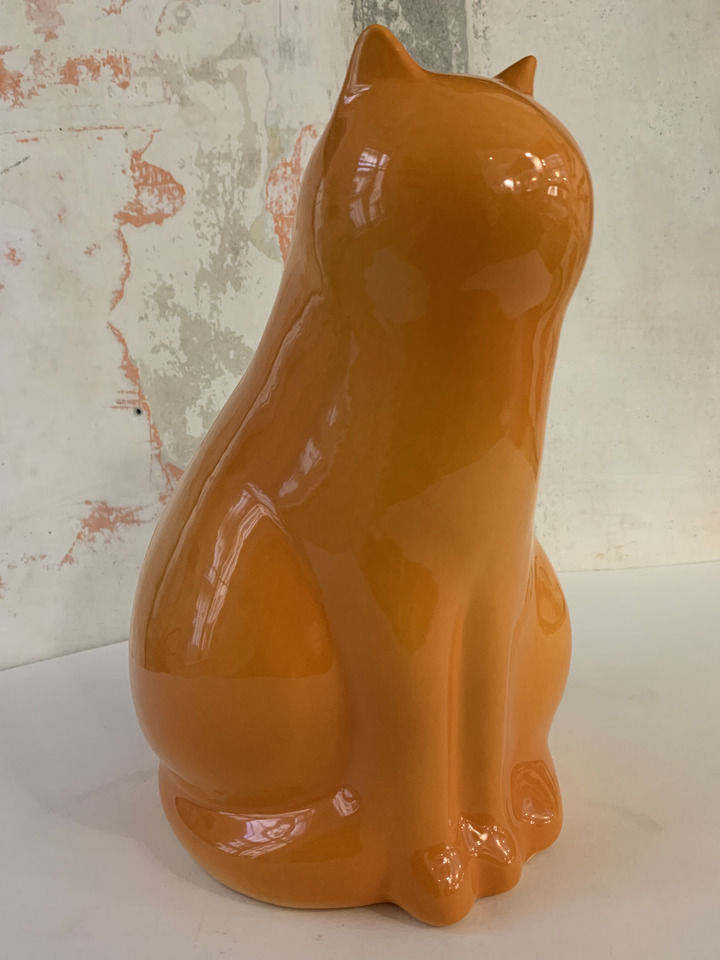 gatto arancio
