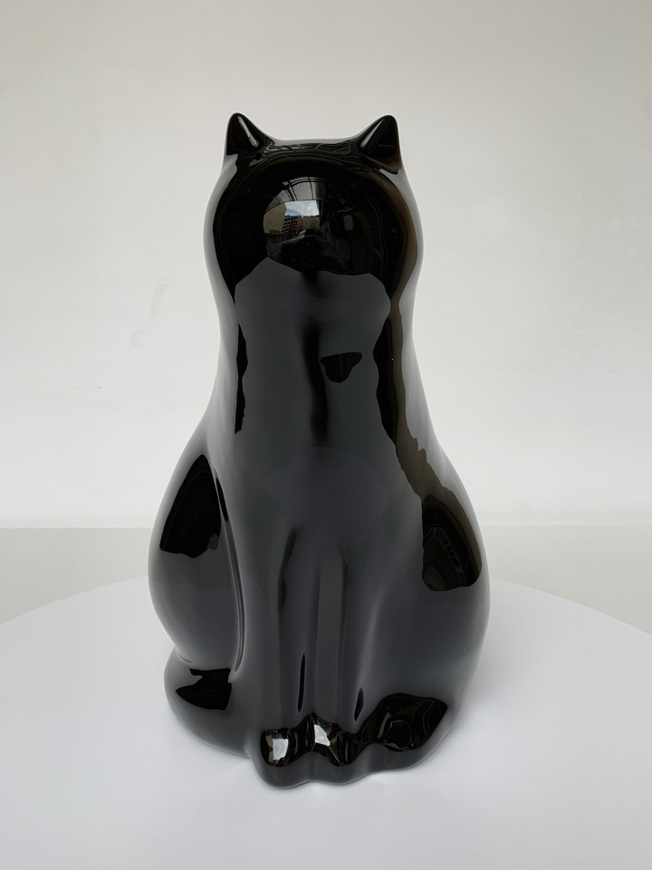 gatto nero