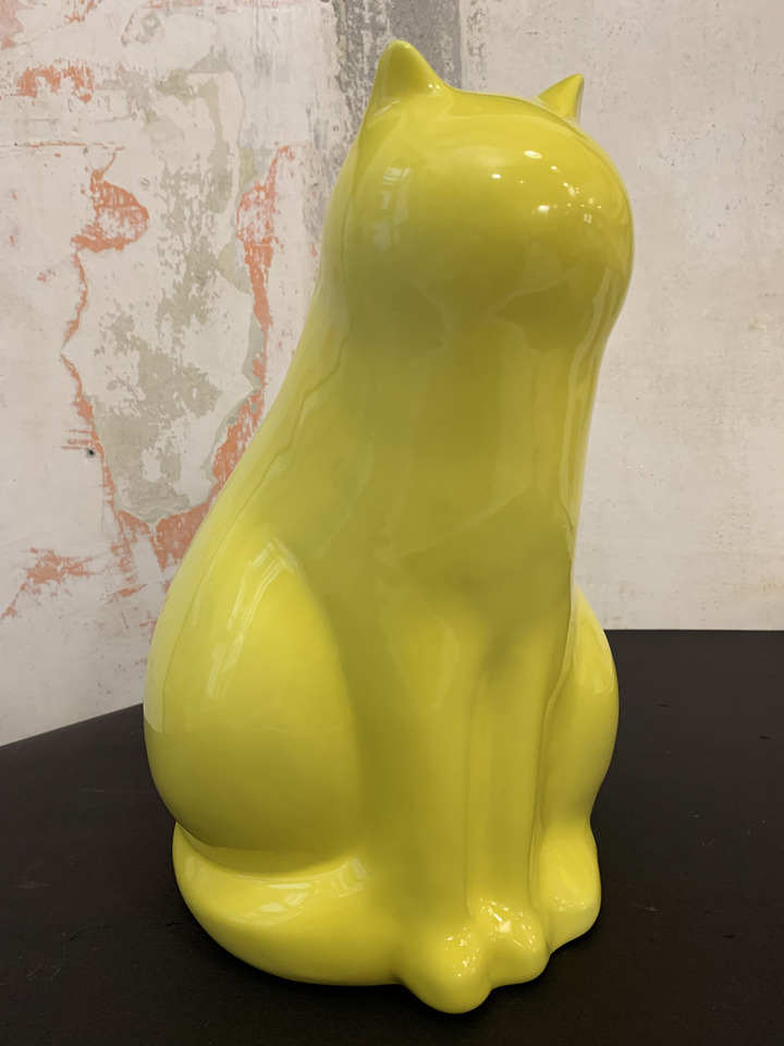 GattoGiallo
