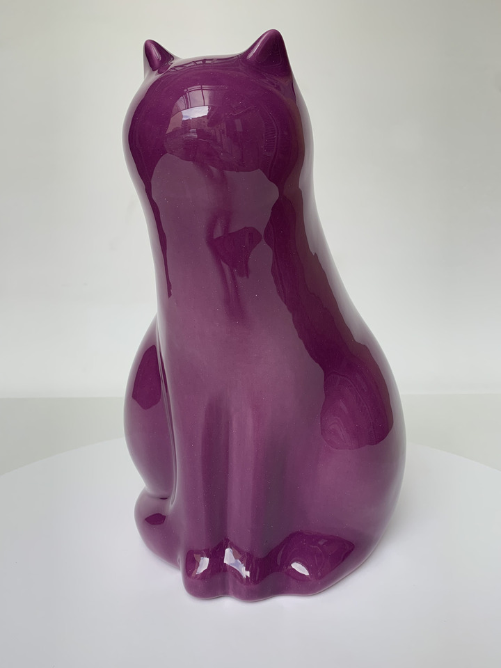 Gatto Viola