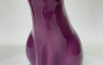 Gatto Viola