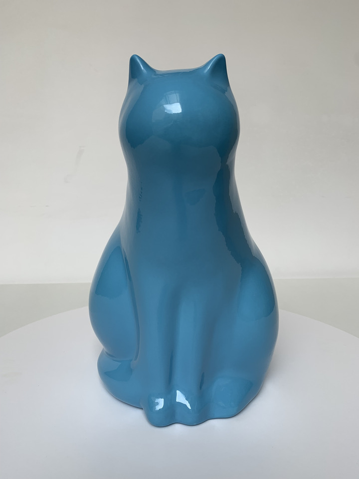 Gatto celeste