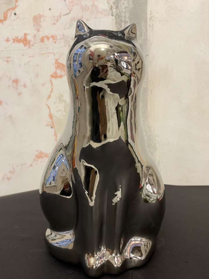 Gatto Platino