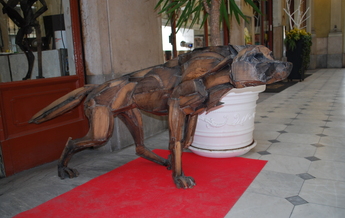 Lupo Studio7 Sophie Dickens