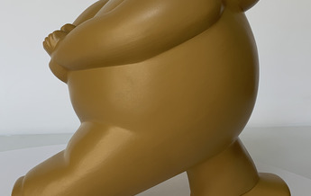 Gio'Gatto Uomo Ocra PdA 4