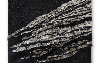 Opera di Silvia Beccaria