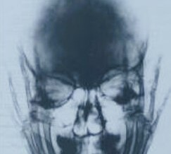 opera di valentina Ruospo