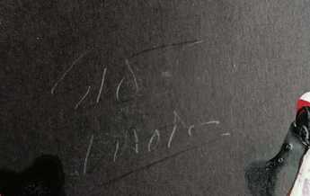 Particolare con firma